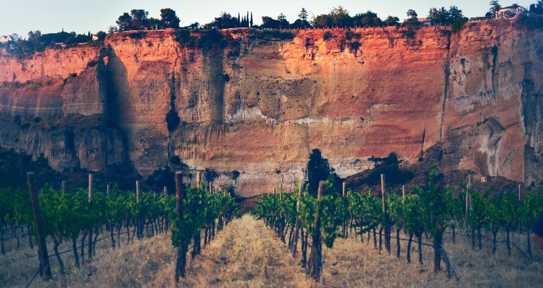 Entrelenguas_cata vinos Ronda.jpg