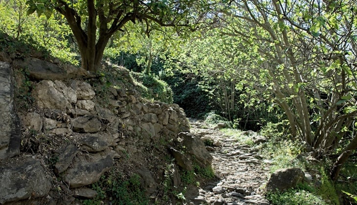 Hikins trails in Malaga Hikins trails in Malaga