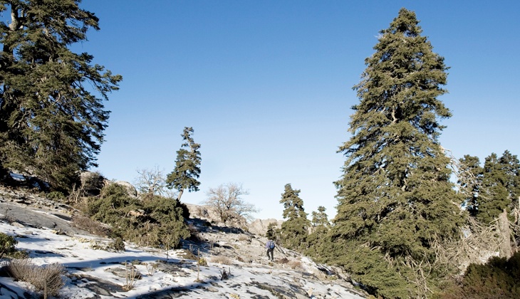 Hikins trails in Malaga Hikins trails in Malaga