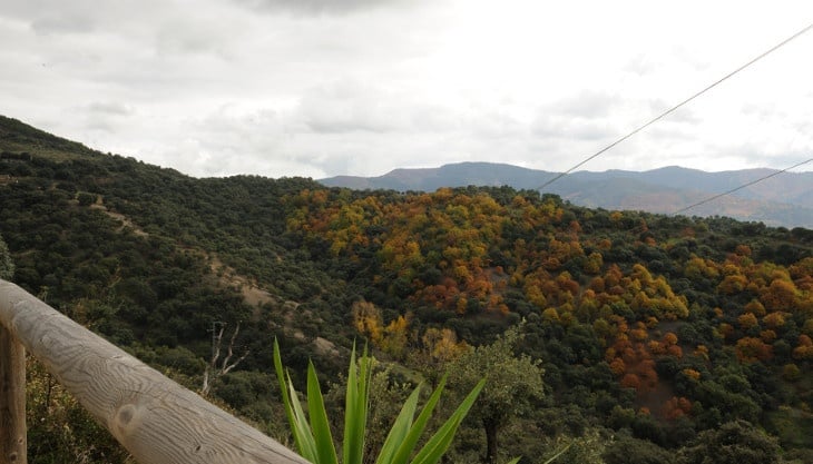 Alpandeire, Genal valley viewpont