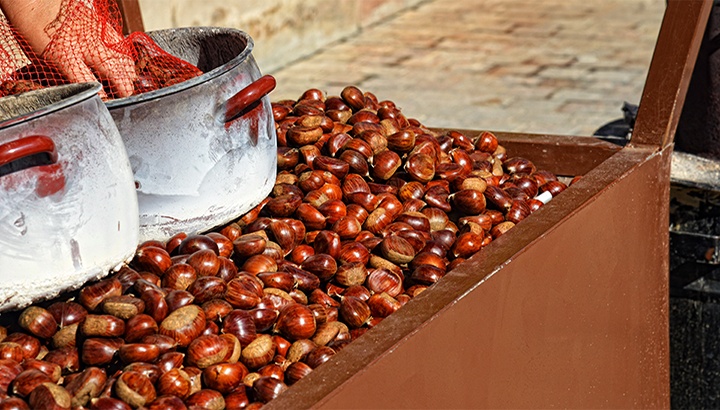 Delicacies on Costa del Sol Delicacies on Costa del Sol