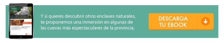 descarga 