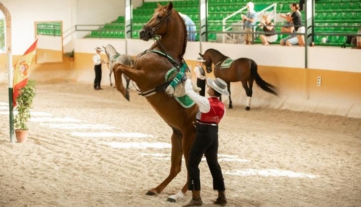 El Ranchito Equestrian Club  Torremolinos, pueblos de Málaga 