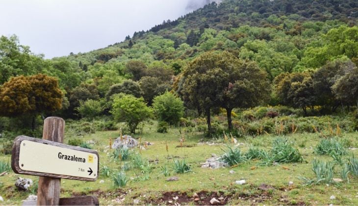 Sierra de Grazalema avec des enfants