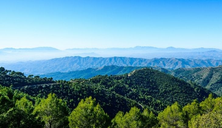 ruta del vino Montes de Málaga