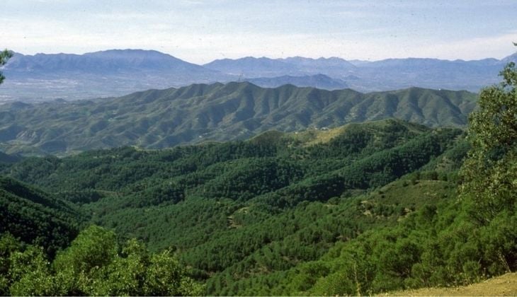 Naturpark Montes de Málaga, Berge in Malaga