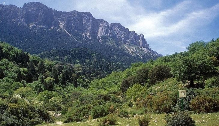 Sierra de la Grazalema, montagnes de Málaga 