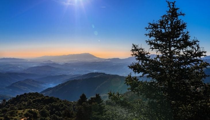 Visita el Parque Natural Sierra de las Nieves