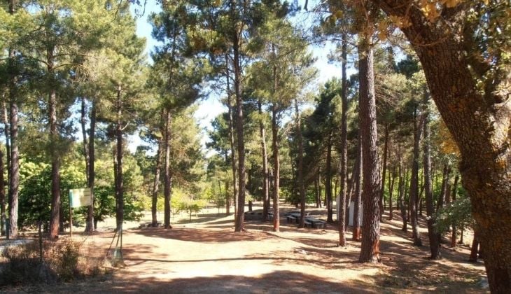 Zona de acampada libre El Robledal, Málaga 