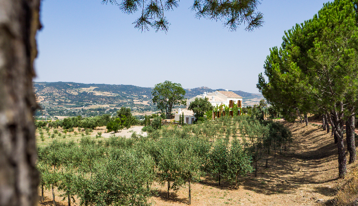 Gastronomía Malagueña