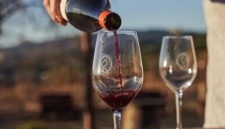 La cultura del vino en la serranía de Ronda_ Samsara Wines 7