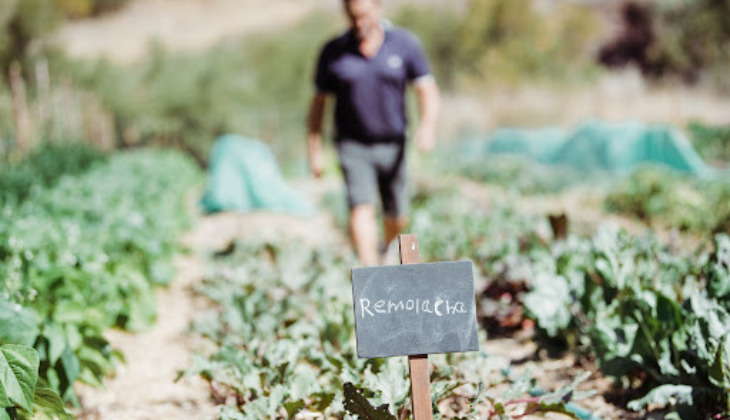 agricultura biodinámica