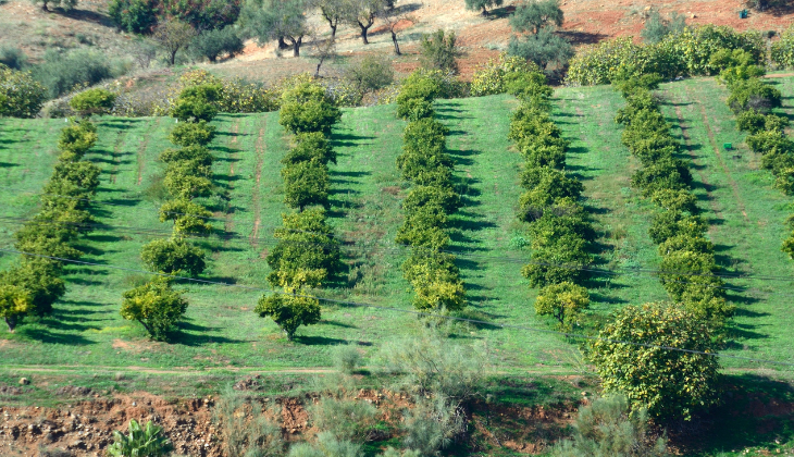 agrotouristische aktivitäten guadalhorce-tal