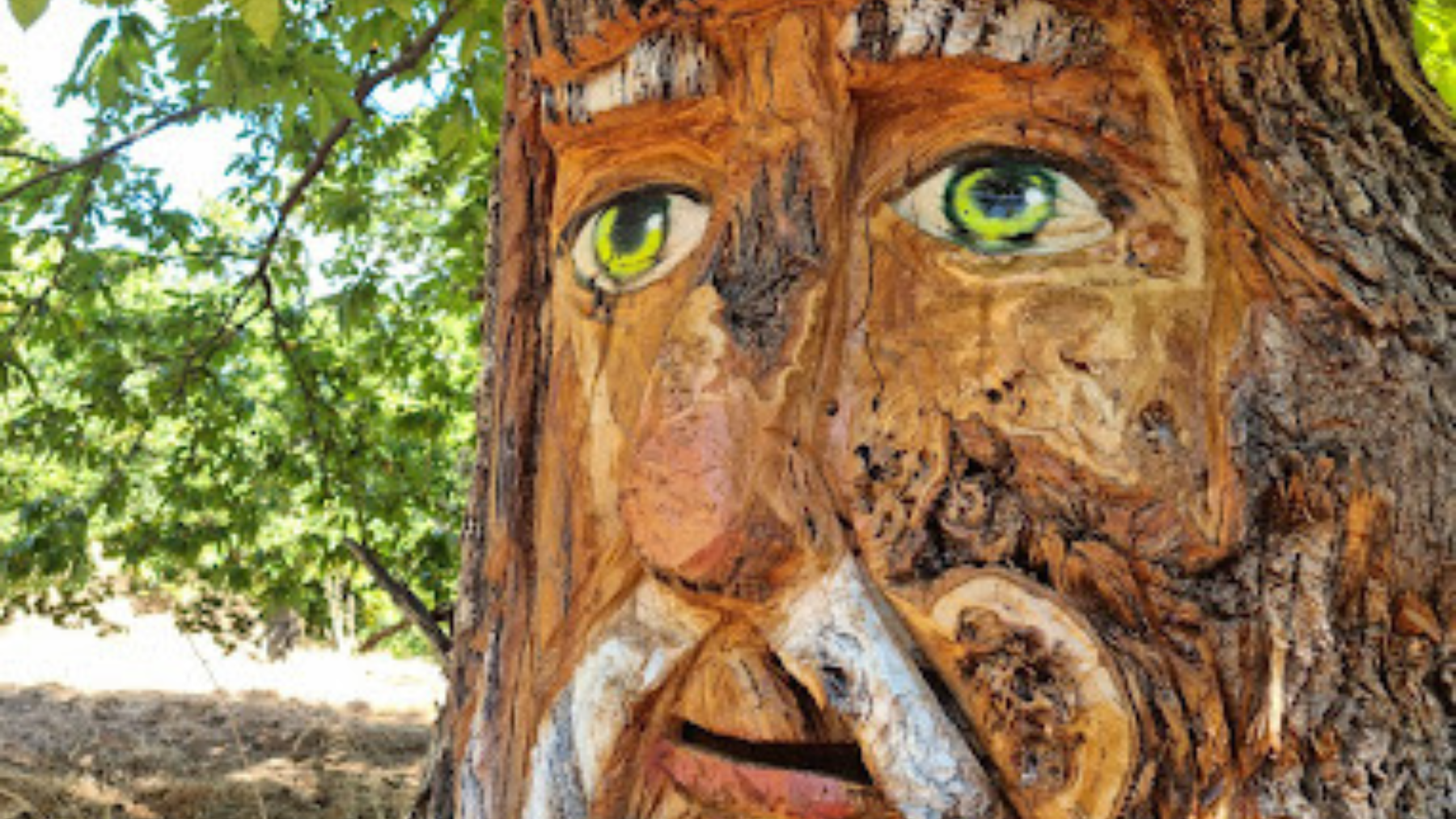 forêt enchantée de parauta málaga