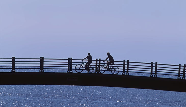 Activities for cardiovascular diseases