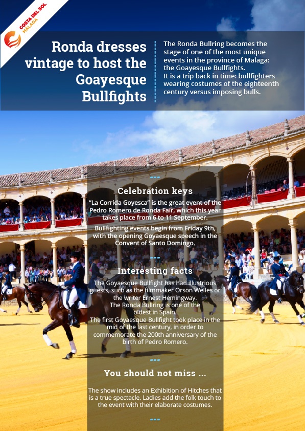 Goayesque Bullfights