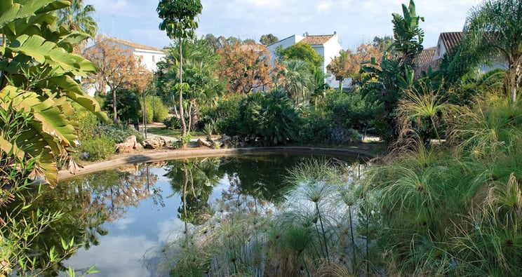 Botanischen Garten Der Engel (Marbella)
