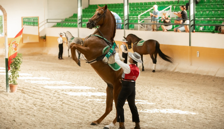 el ranchito horse centre torremolinos