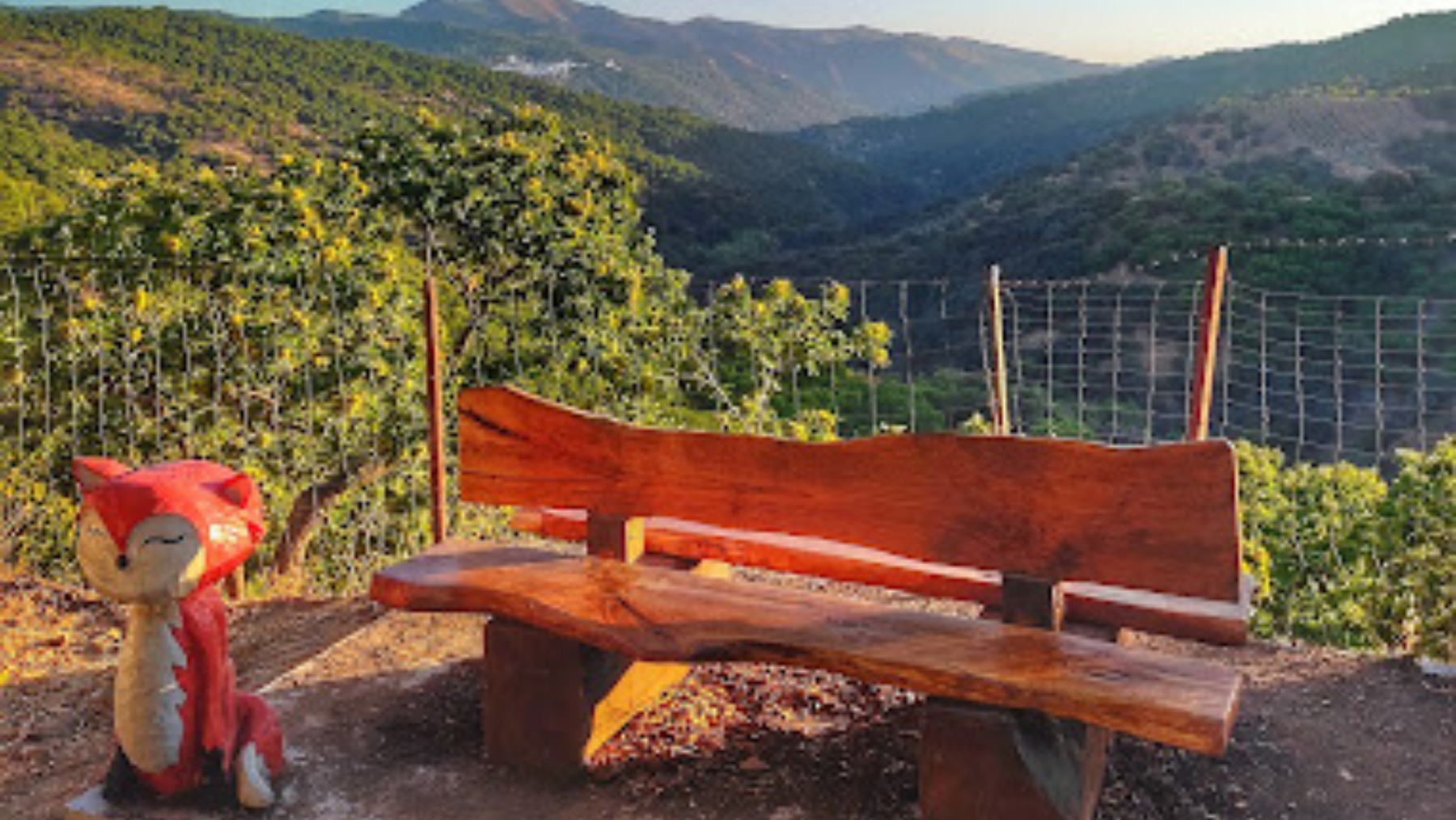 forêt enchantée parauta málaga