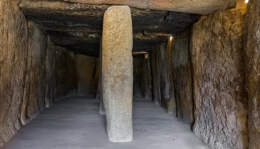 curiosidades de la prehistoria