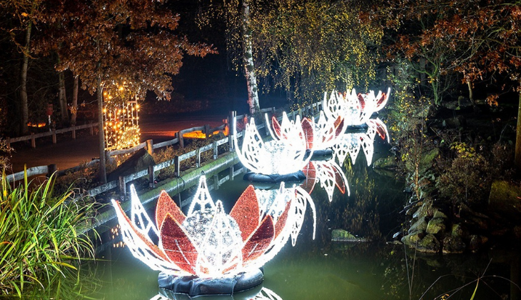 christmas lights malaga