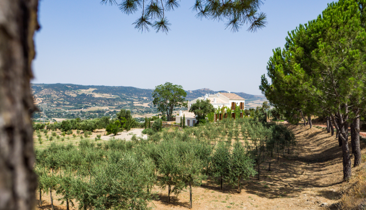 gastronomie dans málaga