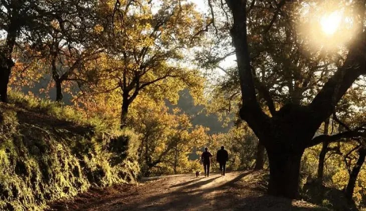 gaucin pueblo costa del sol malaga
