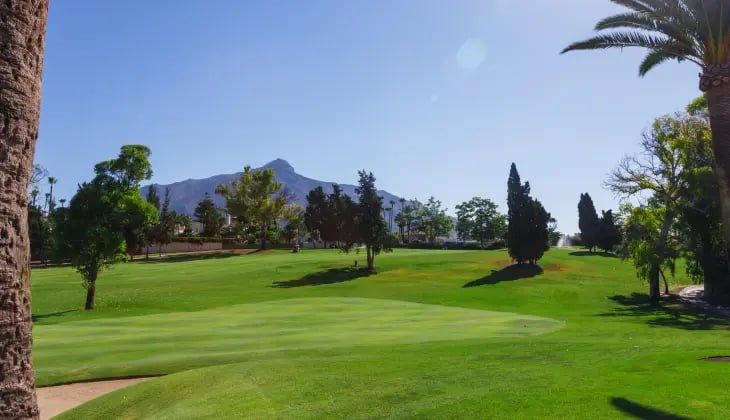 los naranjos golf club-1