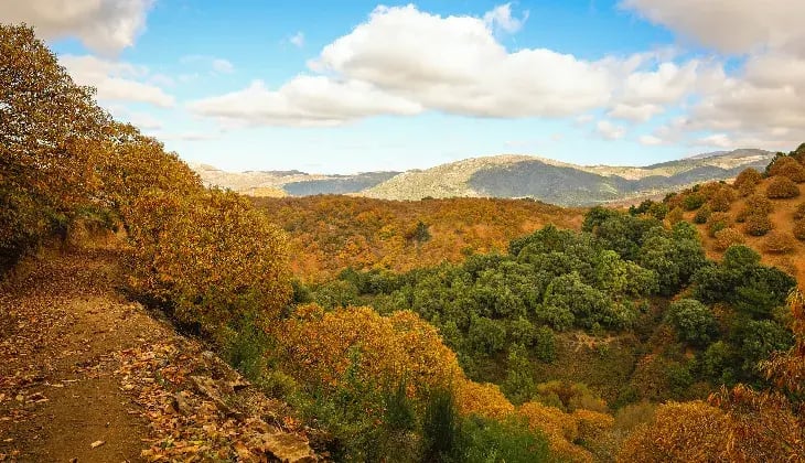 qué hacer en el puente de noviembre
