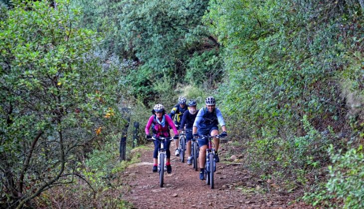 Organizing an incentive trip to Costa del Sol? Here are 6 tips to help you plan