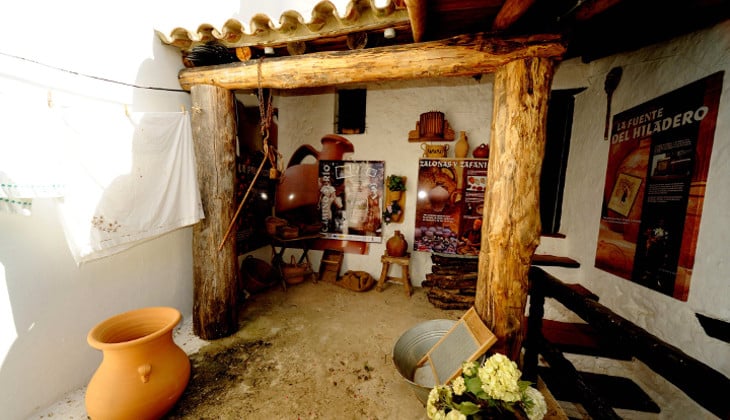 Pujerra, paisaje de castaños