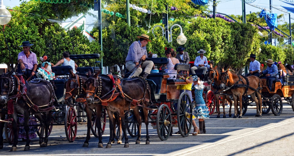 Vive La Feria De Málaga 3475