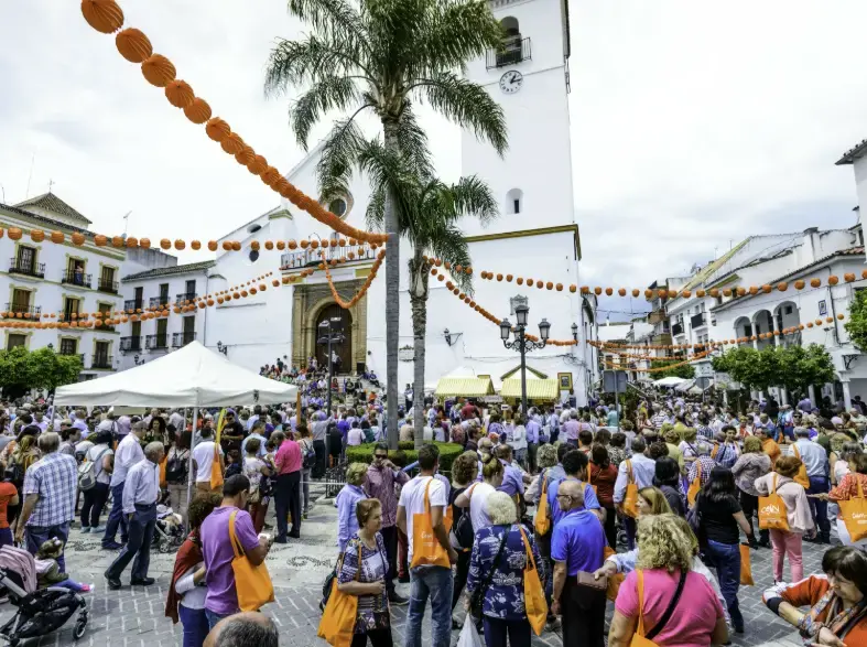 actividades_categoria